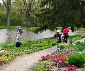 Ogród Botaniczny w Lublinie