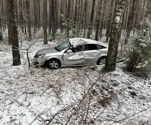 19-latka wypadła z drogi i wjechała w drzewo. Kobieta trafiła do szpitala w Bełchatowie