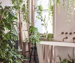Bluszcz i inne rośliny w łazience