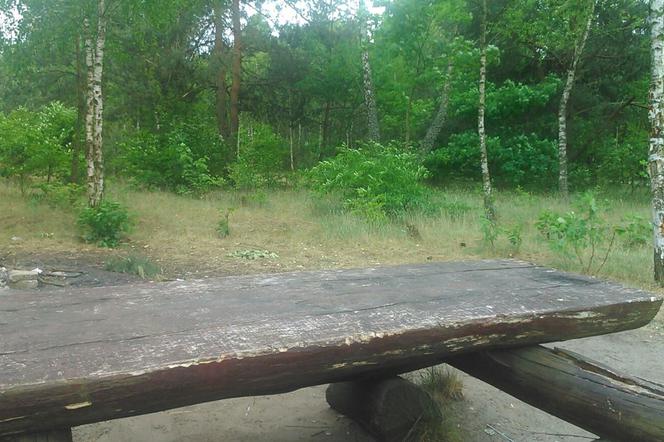Grillowanie w łódzkich parkach