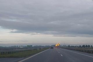 Śmiertelny wypadek na S7 pod Elblągiem [ZDJĘCIA]