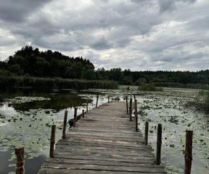 U Jana Pawła w ogródku, tj. w Adamczysze.