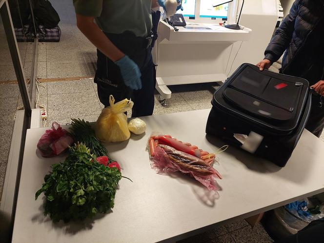 Nielegalna żywność przejęta na lotnisku w Pyrzowicach