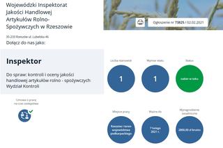 Praca w urzędach w Rzeszowie. Aktualne oferty pracy. Gdzie szukają pracowników? Ile można zarobić? [LISTA]