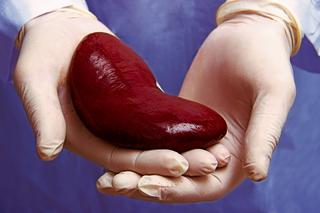 Mniej dawców narządów, mniejsze szanse na przeszczepy ratujące życie