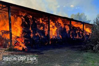 12-latek podpalił stadninę koni w Łącku? Ogromne straty. Strażacy walczyli z ogniem przez prawie 24 godziny [ZDJĘCIA]