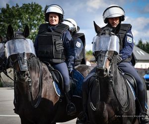 Policyjne konie zdały egzamin!