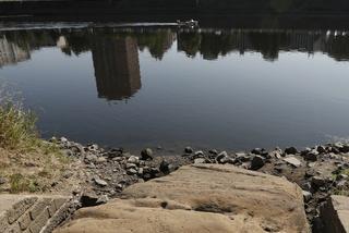 Susza na Renie i Łabie