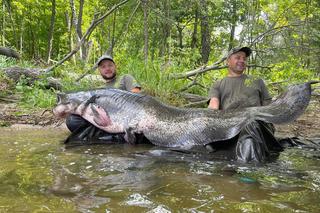 Michał i Grzesiek złapali 100-kilogramowego suma