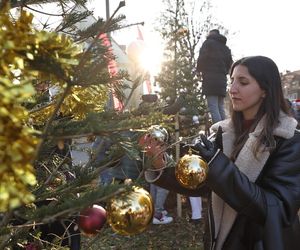 W Gdańsku rozbłysły pierwsze dzielnicowe choinki