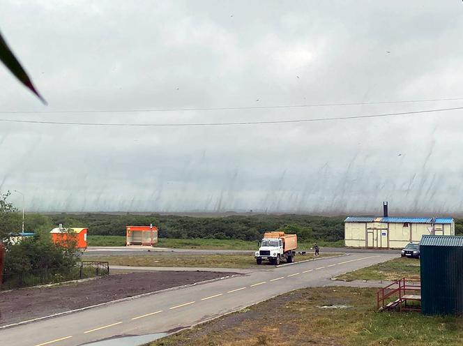 Szok! Tornado z komarów. Inwazja jakiej jeszcze nie było