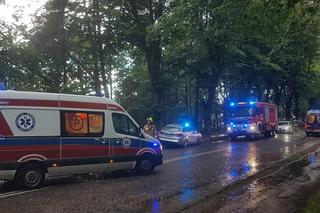 Piorun uderzył w dwóch mężczyzn w Rozewiu. Stali pod drzewem. Strażacy przystąpili do reanimacji [ZDJĘCIA].