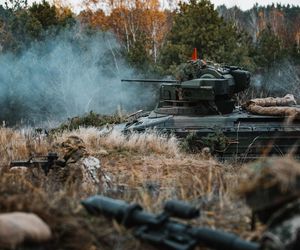 Marder 