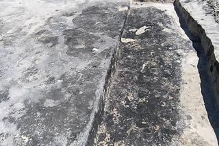 Odkrycie w podlubelskiej Turce. Natrafiono na ślady po średniowiecznej osadzie i pozostałości kultury łużyckiej