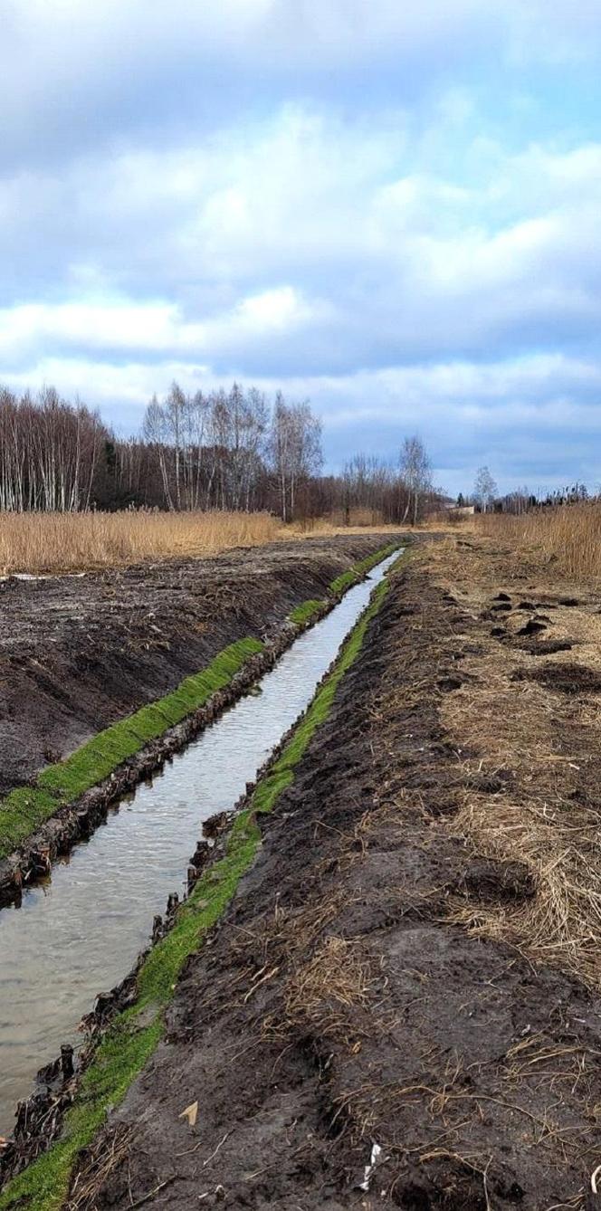 Wody Polskie prowadziły prace konserwacyjne na rzece Mlecznej