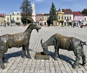 To małopolskie miasto jest nazywane Monachium Południa. Mało kto wie, że jest sławne na całą Europę 