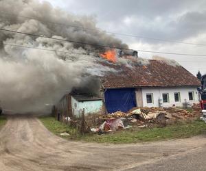 Zatrważająca ilość pożarów na Warmii i Mazurach. Co jest najczęstszą przyczyną?