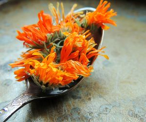 Od lat rośnie w babcinych ogródkach. Zrób z niego herbatkę i chroń się przed nowotworem