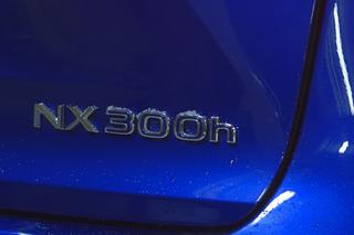 Lexus NX 300h AWD F Sport