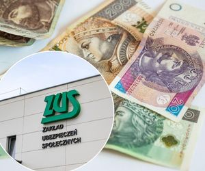 Ponad 52 tys. mieszkańców Kujawsko-Pomorskiego pobiera rentę wdowią. Chętnych było więcej. Kiedy ZUS odrzuca wniosek? 