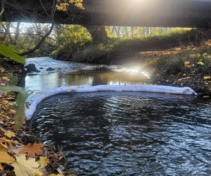 Na Białusze w Krakowie pojawiły się łapacze śmieci
