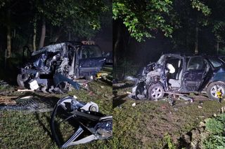 Rabinówka. Pijana 22-latka bez prawa jazdy uderzyła w ogrodzenie i drzewo