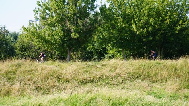 Bystrzyca oddziela dwie dzielnice: Rury i Za Cukrownią. Jak prezentuje się ta część Lublina w letniej odsłonie? ZOBACZ ZDJĘCIA