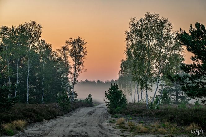 Bory Dolnośląskie