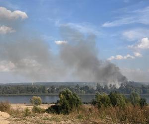 Słup dymu pod Szczecinem. W akcji samoloty gaśnicze