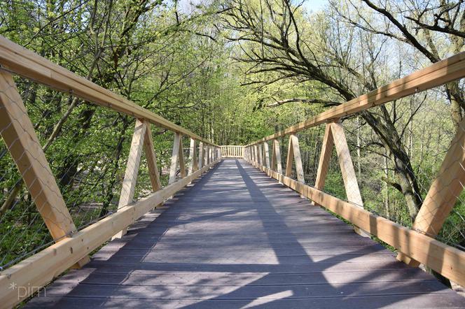 Poznań: Ścieżka w koronach drzew - te zdjęcia robią wrażenie