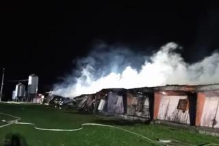 Pożar w Glinicy. Spłonęło 20 tysięcy kurcząt