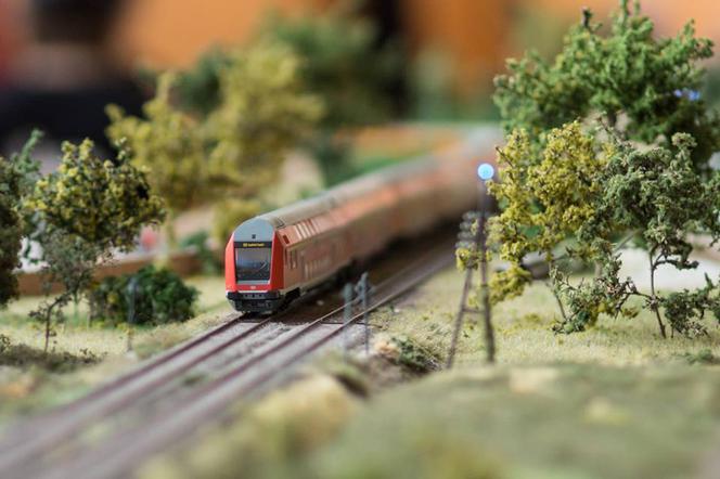 Wielka wystawa makiet kolejowych w Fordonie