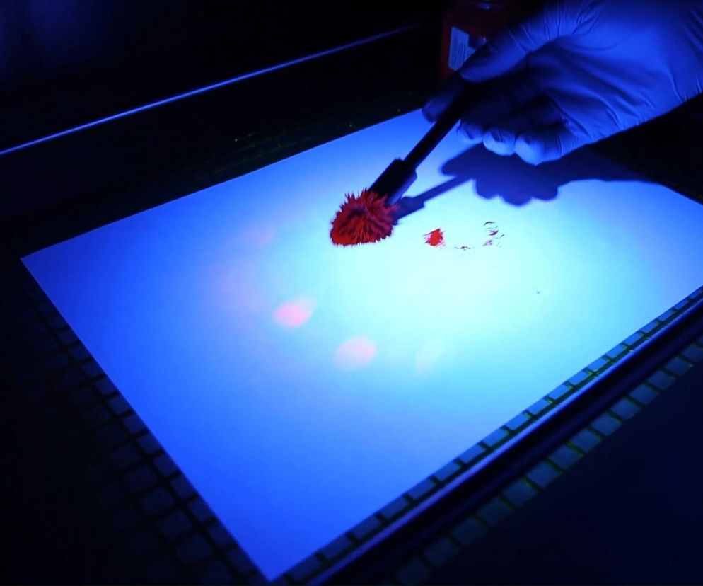 Trzy lata temu popełnił przestępstwo. Zgubiła po rękawiczka