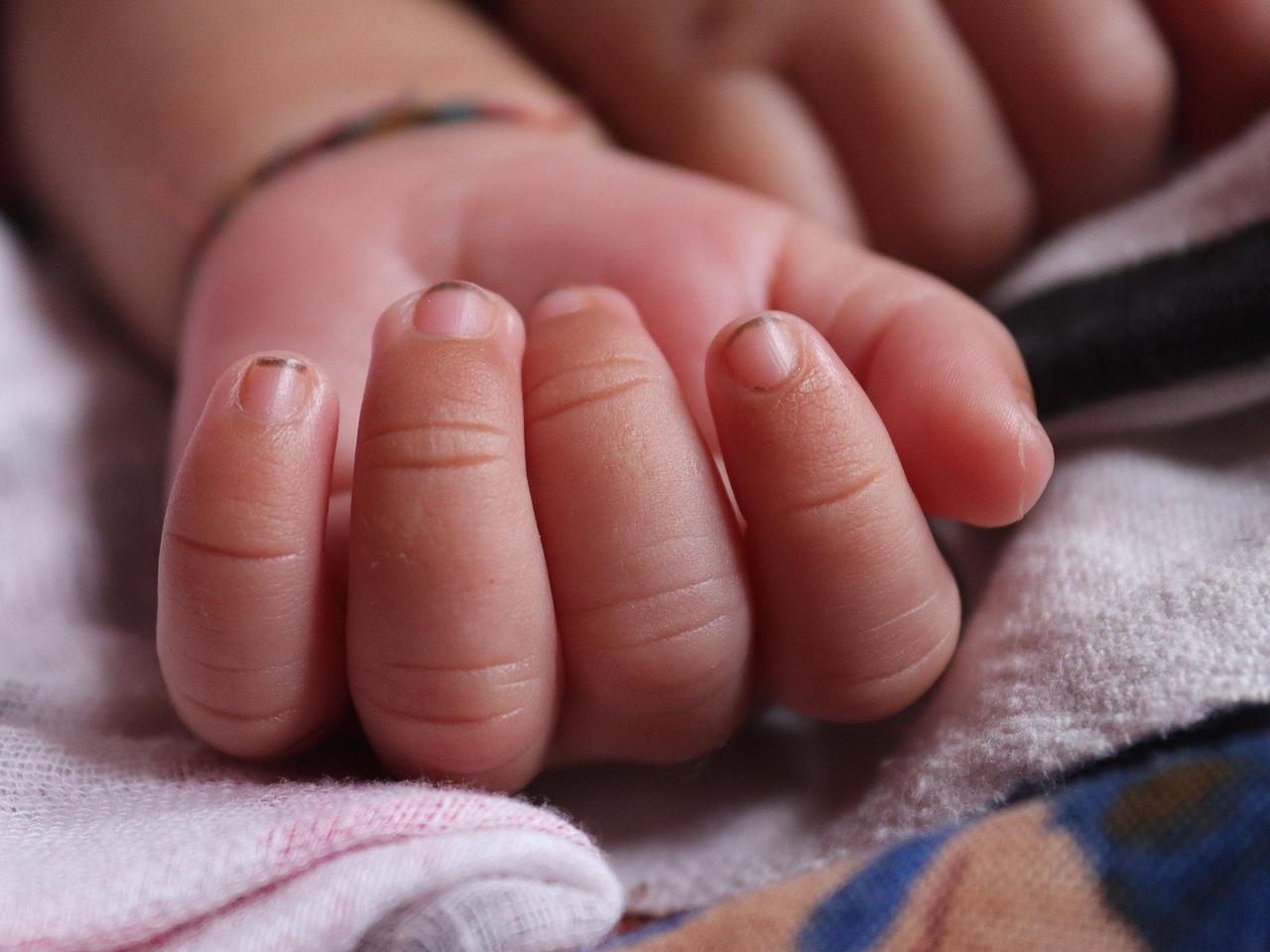 Płońsk. Ciało noworodka zawinięte w torebki. Znamy przerażające szczegóły! Do kogo należą ślady krwi?