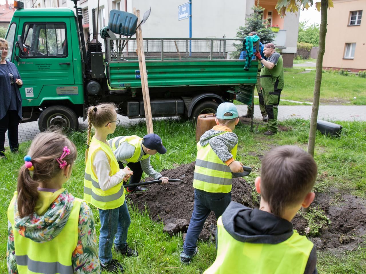 Mieszkańcy Katowic po raz kolejny będą sadzić drzewa za pośrednictwem aplikacji