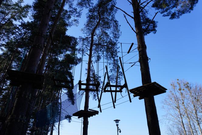 Powstaje park linowy w Białymstoku! To nowa inwestycja na plaży Dojlidy