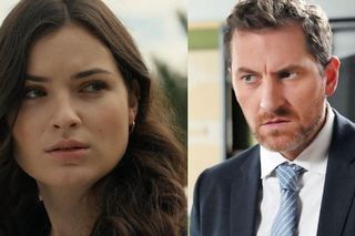 Barwy szczęścia, odcinek 3161: Wielki powrót Szczepana! Wybroni ochroniarza, który napadł na Weronikę 