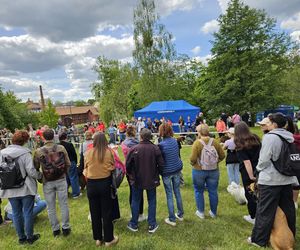 Festiwal Przyjaciół Zwierząt w Olsztynie. Park Centralny opanowały radosne pieski