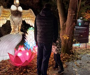 Garden of Lights we Wrocławiu