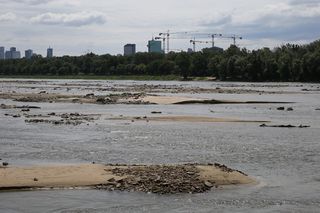 Wisła wysycha, ale wciąż jest niebezpieczna! Miasto ostrzega przed kąpielą [GALERIA]