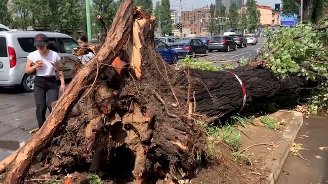 Włochy. Śmiertelna ofiara burz na północy, kilku rannych