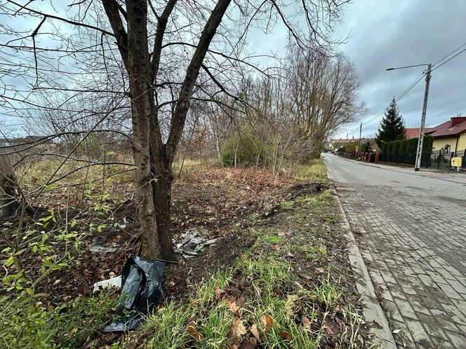 Tragiczny wypadek w Ostródzie. Samochód wbił się w drzewo, nie żyje 25-latek