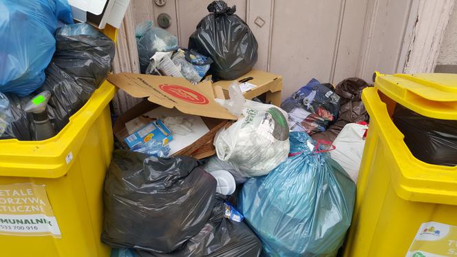 Bydgoszczanie mają już dość! Wciąż toną w śmieciach!