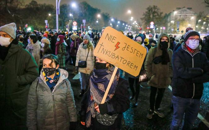 Ogólnopolski Strajk Kobiet 28.01.2021: Transparenty, rozlana farba przez TK