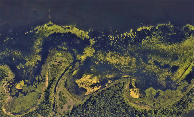 Szczecin w szczególe według Google Earth