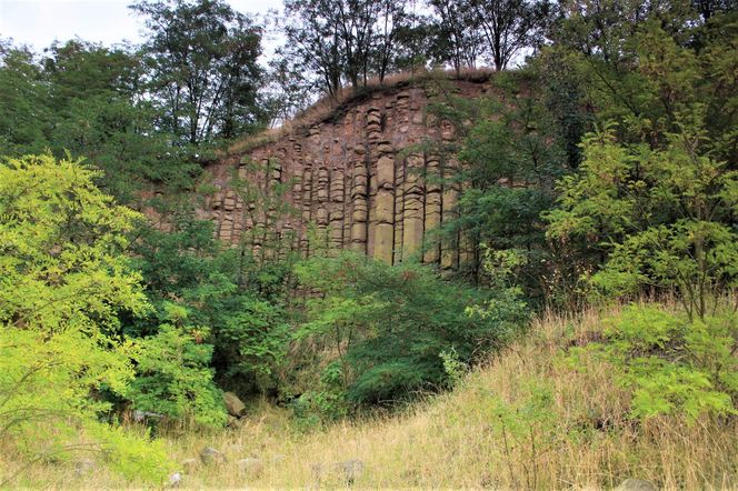 Bazaltowe słupy na Dolnym Śląsku