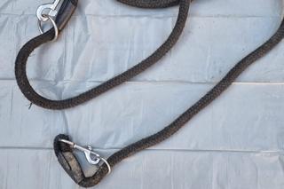 Ktoś porzucił psa nad rzeką. Zwierzak był przywiązany i przerażony