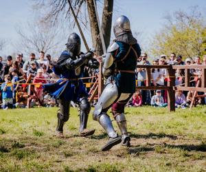 Turniej Rycerski na Zamku w Iłży. Dwa dni żywej lekcji historii 