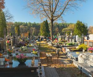 Wszystkich Świętych 2022 - czy 2 listopada jest wolne od szkoły? Czy są lekcje?