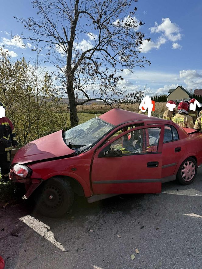 Tragiczny wypadek w miejscowości Wzdół Kolonia. Nie żyją dwie osoby, kolejne dwie są ranne